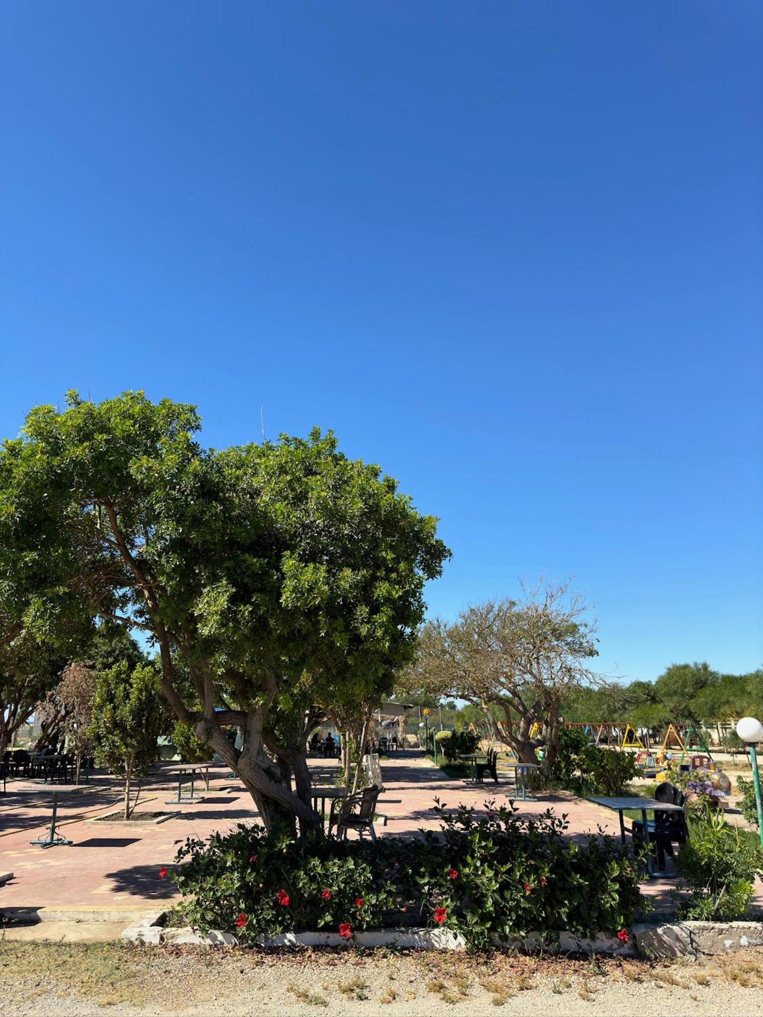Camping Nature & Mer Tahadart - Bungalows Briech Ngoại thất bức ảnh